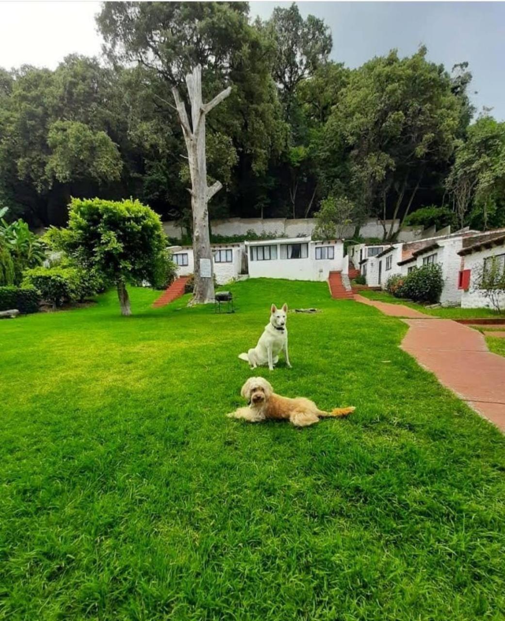 Club Santa Maria Hotel Cuernavaca Bagian luar foto